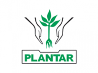 Plantar